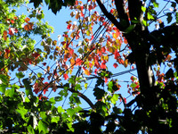 Oct 25 2026